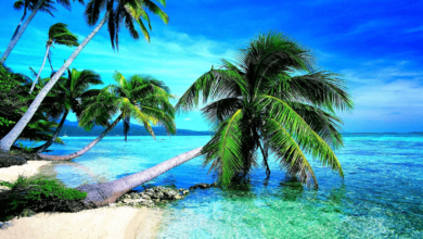 Wallpaper:8d3jmqeknd0= Beach