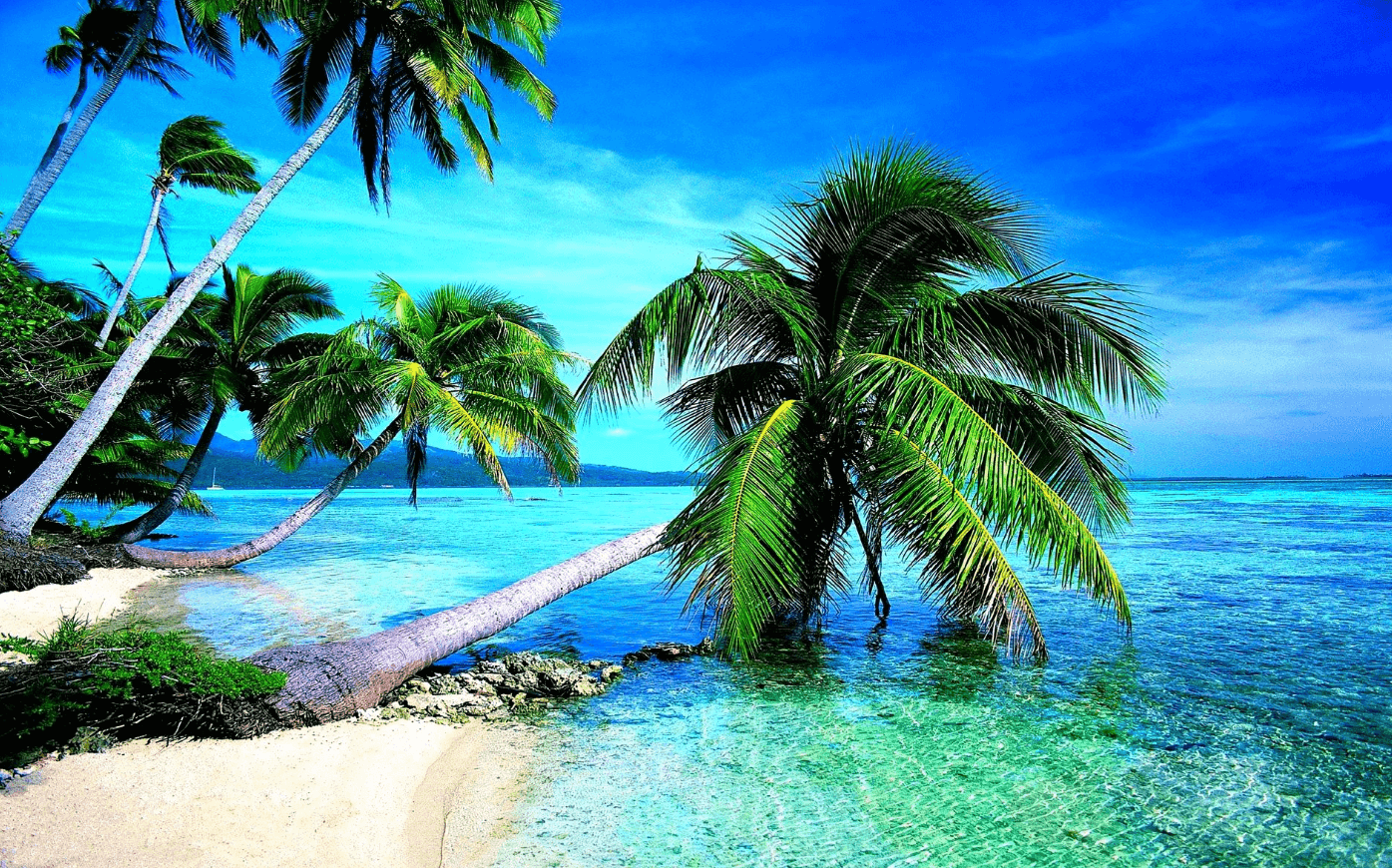 Wallpaper:8d3jmqeknd0= Beach