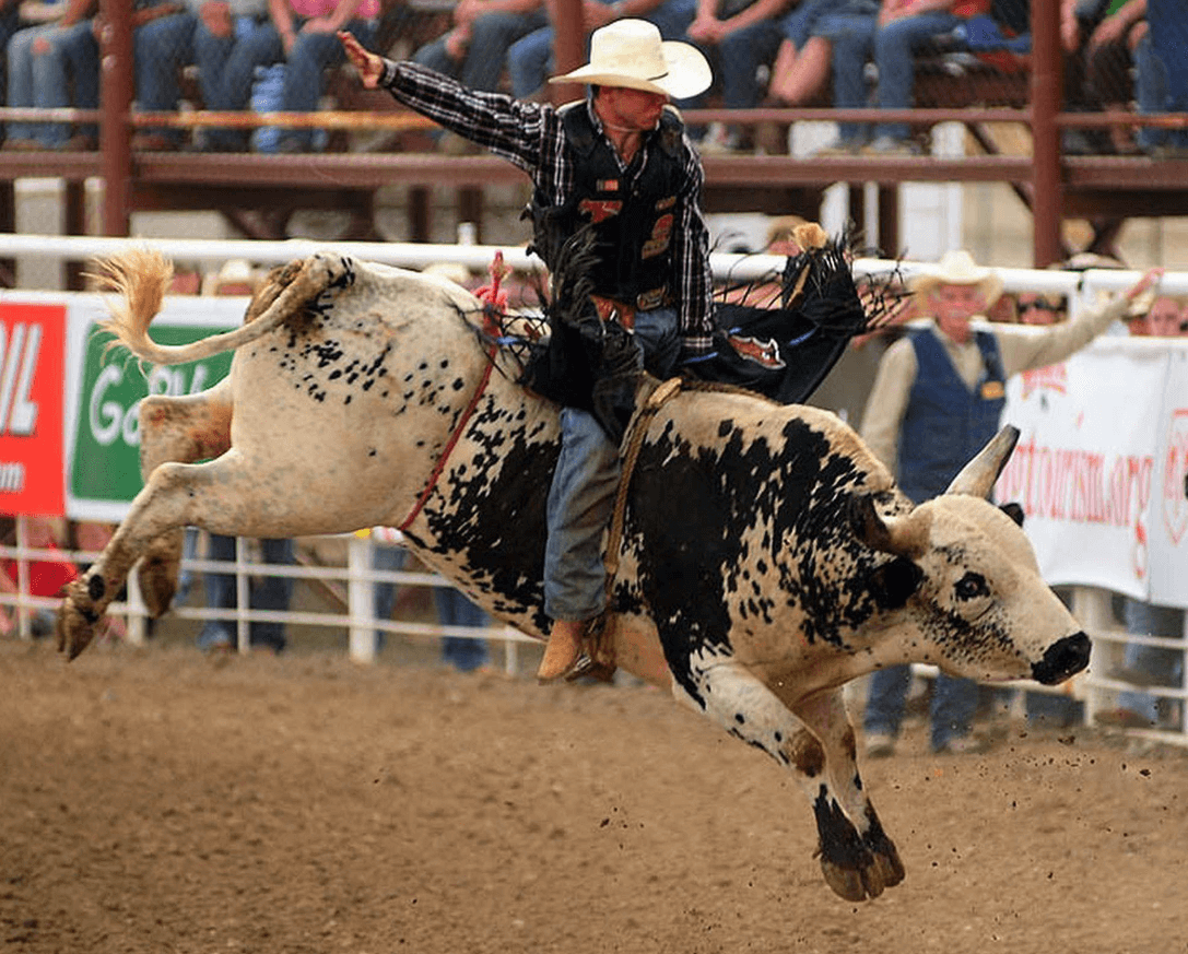 Wallpaper:8a0ptjyyrvg= Bull Riding