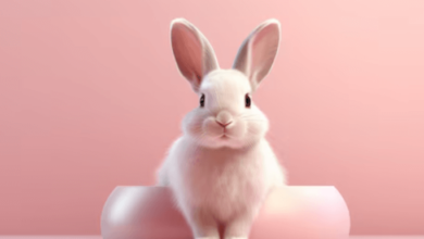 Pink:8phcg1iw14g= Wallpaper:8phcg1iw14g= Roller Rabbit